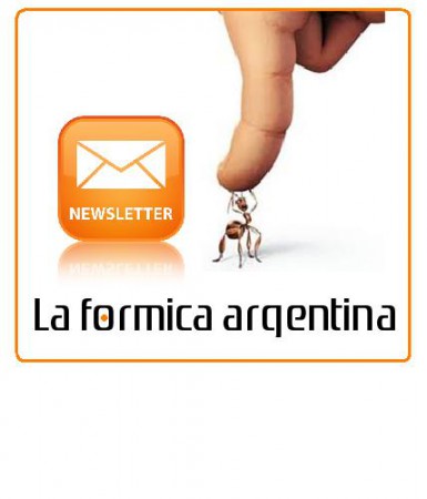 Prova 1